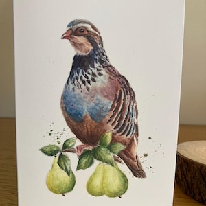 Perdrix dans un poirier, carte de Noël, aquarelle d'oiseaux, cartes de Noël sur la faune, illustration de perdrix, carte de voeux d'automne, amoureux des oiseaux