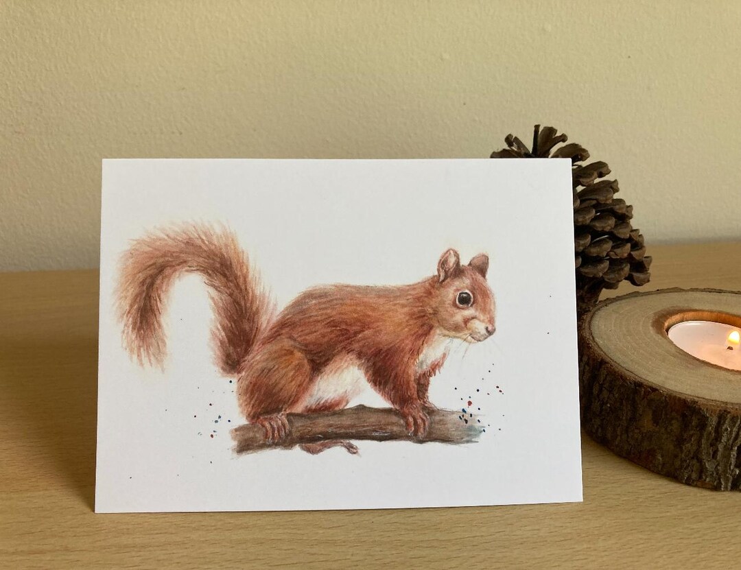 Red Squirrel Greetings Card, Wildlife Animal Art Print, Cute Squirrel ...