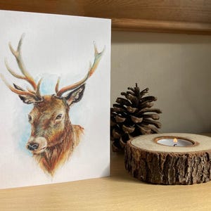Carte de Noël cerf, impression cerf aquarelle, carte de voeux pour les amoureux des animaux, portrait de cerf illustré, peinture
