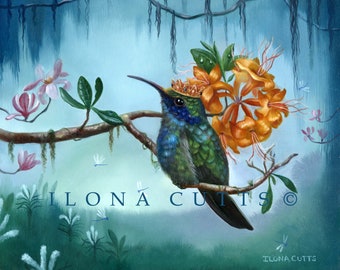 Humming bird, Bird painting, print on paper, tropical, flowers, painting, Sir Leopold, Art by Ilona Cutts