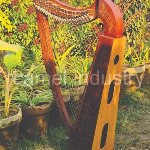 22 Lyre String Harp Rosewood wood Harp Nylon String harp Extra Strings free Tuning Key and Carrying case Bag Best Gift For Christmas (Brown)
