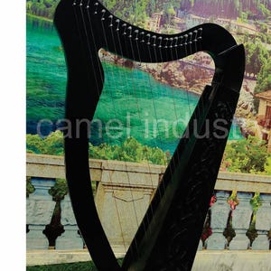 22 Lyre String Harp Rosewood wood Harp Nylon String harp Extra Strings free Tuning Key and Carrying case Bag Best Gift For Christmas (Black)