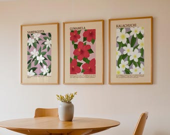 Filippijnse posterbloem set van 3, Sampaguita Gumamela & Kalachuchi, Filippijnse vriend en familiecadeau, printabes voor huis en woonkamer