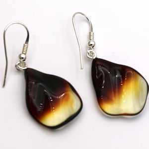 Ombre Amber Earrings, Amber Earrings, Amber Jewelry, Gift for Her, Elegant Earrings, Baltic Amber Jewelry, Amber Drop Earrings, Freeform