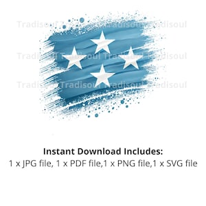 Micronesia Flag Watercolor Print - Digital Download | Abstract Micronesian Flag Art for Personal & Commercial Use | JPG, PNG, SVG