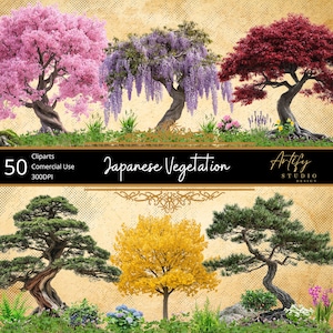 Vegetazione giapponese – 50 piante e alberi di alta qualità dal Giappone, sfondo trasparente, uso commerciale