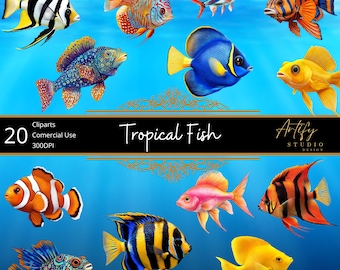 Tropical Fish Clipart – Vibrant Tropical Fish for Creative Projects, Commercial Use, 300DPI, Transparent Background – 20 PNGs