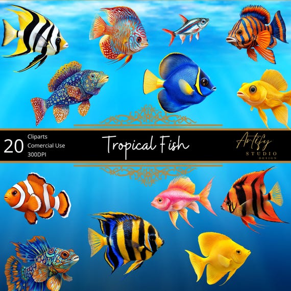 Tropical Fish Clipart – Vibrant Tropical Fish for Creative Projects, Commercial Use, 300DPI, Transparent Background – 20 PNGs