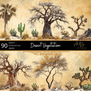 Végétation du désert - 90 plantes et arbres de haute qualité, fond transparent, usage commercial