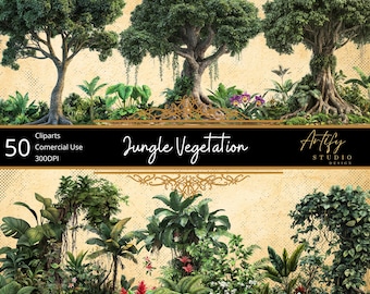 Vegetación de la selva: 50 plantas y árboles tropicales de alta calidad, fondo transparente, uso comercial
