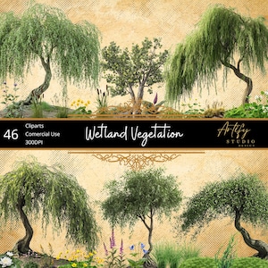 Végétation des zones humides - 46 plantes et arbres de haute qualité, fond transparent, usage commercial