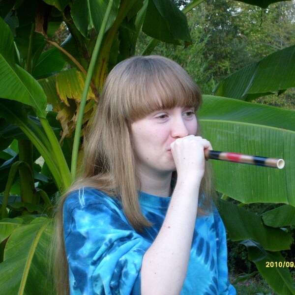 Erbsenshooter und Erbsen