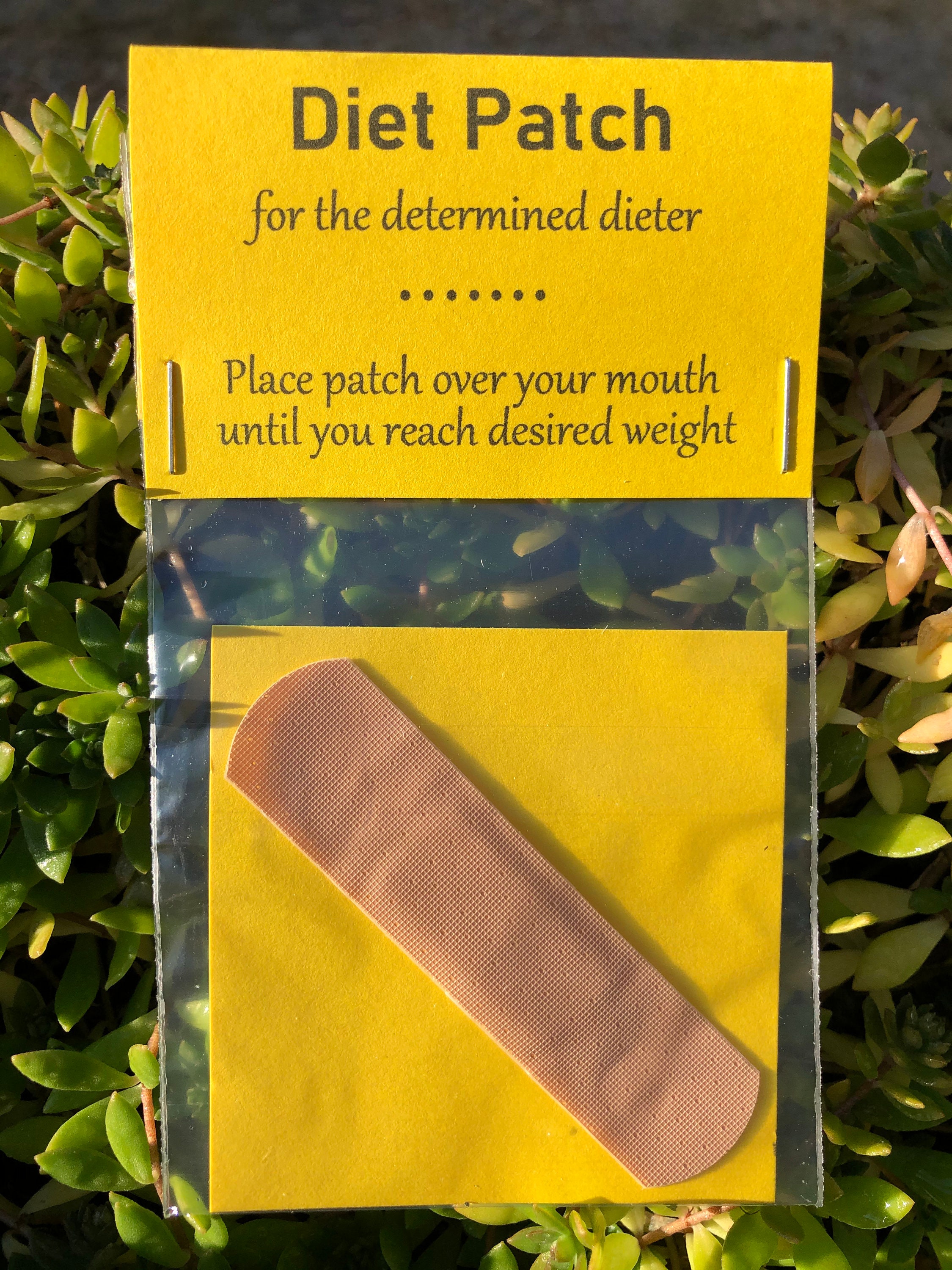 Diet Patch Gag Gift Etsy