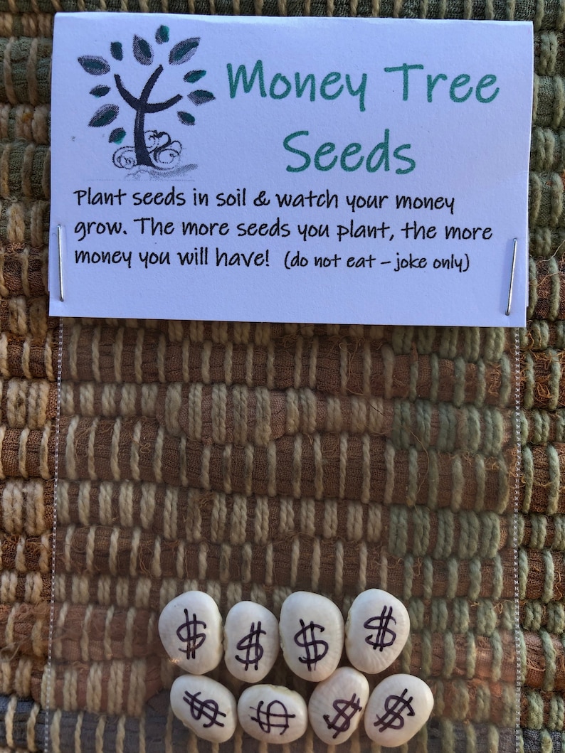 Money Tree Seeds Gag Gift Etsy Australia