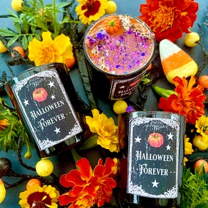 Halloween Forever Votive Anita Apothecary, Halloween candles, Halloween Decor, Pumpkin candles, pumpkin spice candle, Day of the Dead image 6