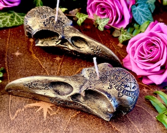 May include: Two gold-colored raven skull candles with white wicks. The candles are decorated with embossed designs and sit on a wooden surface, surrounded by pink roses and green foliage.
