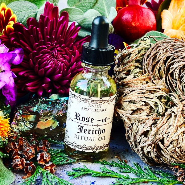Rosa de Jericó / Anita Apothecary, La planta de la resurrección, Magia vegetal, Aceite de brujería, Aceite ritual, Aceite de hechizos de brujas, Aceite de Rosa de Jericó
