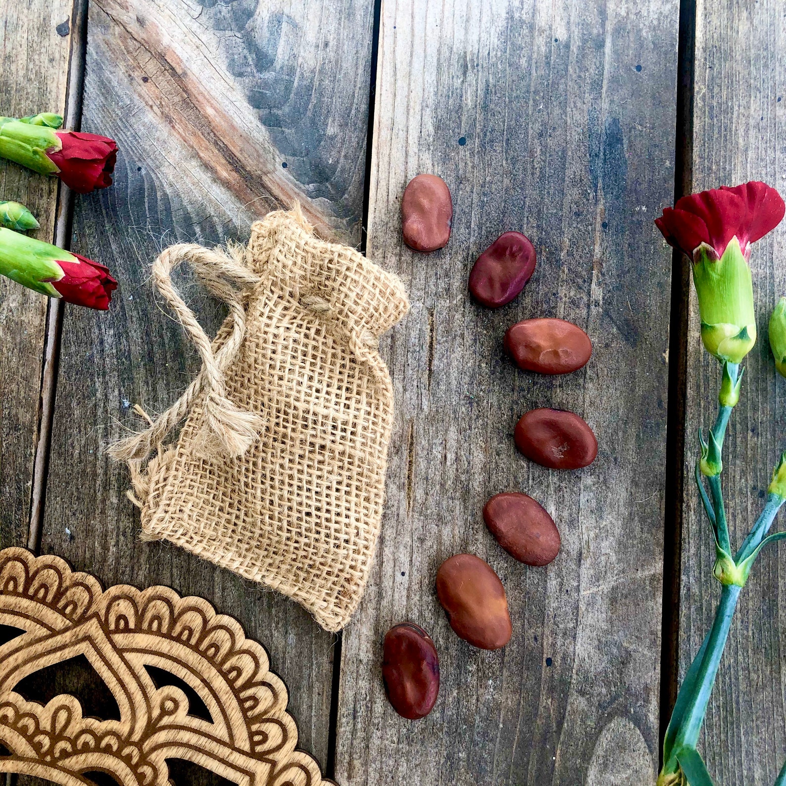 7 Mojo Beans Hoodoo Mojo Bag Mojo Beans Hoodoo Hoodoo Etsy