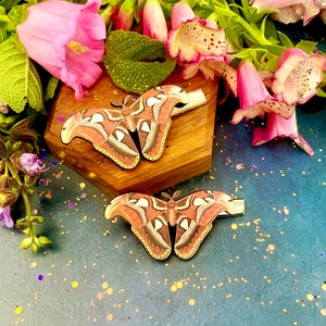 Atlas Moth Hair Clips | Anita Apothecary, Wood Hair Clips, Witch Beauty Accessories, Occult Witch Aesthetic, Cottagecore Moth Hair Clips