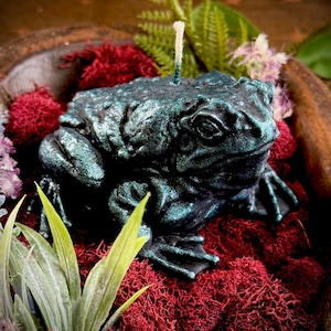 May include: A teal-colored frog-shaped candle with a wick, set on a bed of red moss. Green and purple foliage surrounds the candle, creating a naturalistic display. The candle's surface has a textured, iridescent finish.