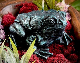 Può includere: Una candela a forma di rana color verde acqua con uno stoppino, posta su un letto di muschio rosso. Il fogliame verde e viola circonda la candela, creando un'esposizione naturalistica. La candela ha una finitura strutturata e iridescente.