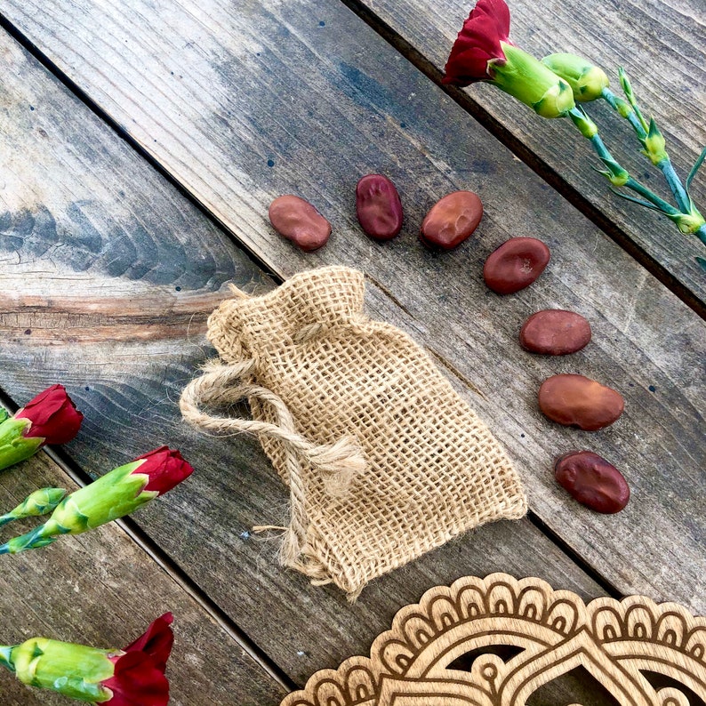 7 Mojo Beans Hoodoo Mojo bag Mojo beans hoodoo hoodoo Etsy