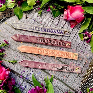 May include: Four ceramic plant markers with gold accents and crescent moon designs. The markers are labeled "Belladonna", "Hellebore", "Poison Plant", and "I Have Toxic Traits". The markers are arranged on a wooden surface with pink and purple flowers.