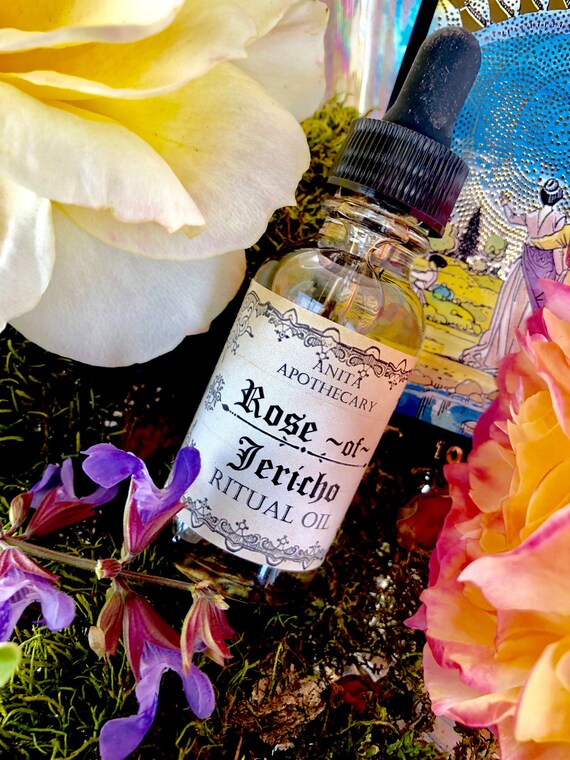 Rose Of Jerichothe Resurrection Plant Magick Witchcraft Etsy