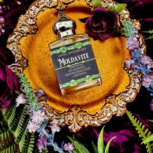 Genuine Moldavite Oil with Real Moldavite Chip | Crystal Oil | Ritual Oil | Metaphysical Supplies by Anita Apothecary