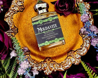 Genuine Moldavite Oil with Real Moldavite Chip | Crystal Oil | Ritual Oil | Metaphysical Supplies by Anita Apothecary