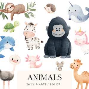 Aquarell Tier Clipart Bundle PNG, niedliche Baby Tier Illustrationen, Kinderzimmer Wand Kunst PNG, Kinder Aufkleber, Klassenzimmer Dekor, digitaler Download