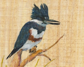 Kingfisher 4 Print