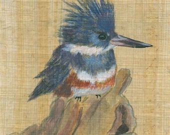 Kingfisher 1 Print