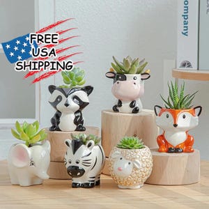 May include: Set of six small ceramic planters shaped like animals, including a cow, raccoon, zebra, elephant, fox, and sheep. Each planter has a small succulent plant inside.