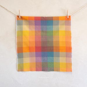 Puede incluir: Un cuadrado de tela a cuadros multicolor, suspendido por pinzas de madera en una cuerda. La tela presenta un vibrante patrón de cuadrícula de tonos naranja, amarillo, rojo, morado, verde y azul. La palabra "FABLEISM" está impresa en blanco en la parte inferior.