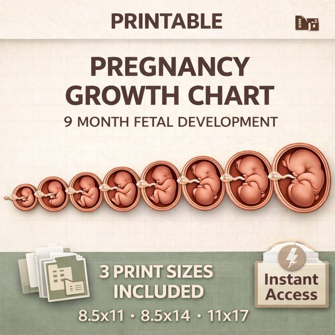 Fetal Development Growth Chart Printable – 9 Month Pregnancy Growth ...