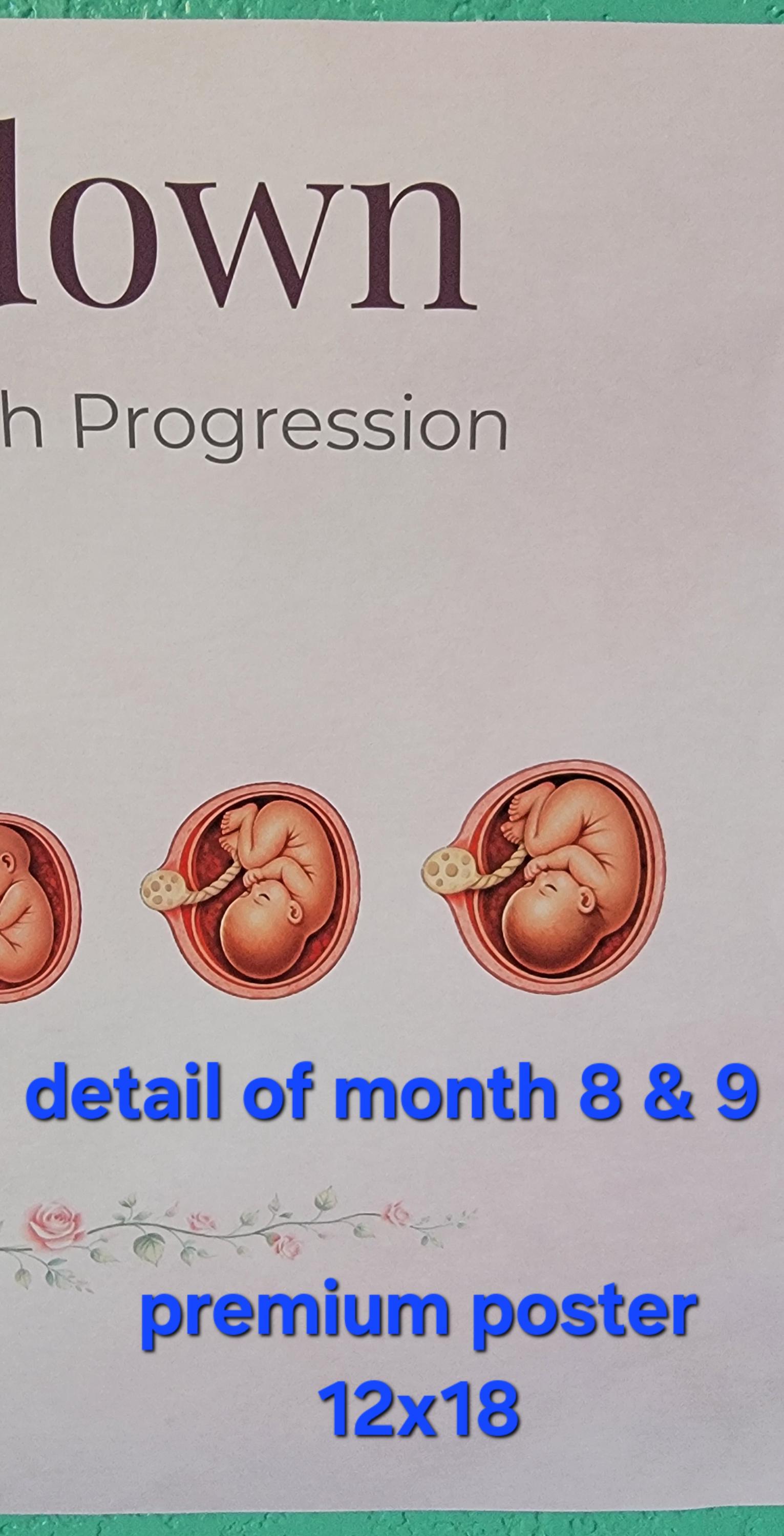 Baby Growth Poster, by Month, Pregnancy Growth Chart, Fetal Development ...