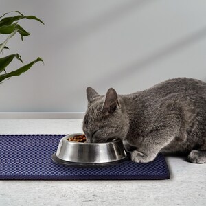 Op de afbeelding: Een grijze kat eet uit een roestvrijstalen kom gevuld met droogvoer. De kom staat op een donkerblauwe mat met een gestructureerd oppervlak. Op de achtergrond is een groene plant te zien.