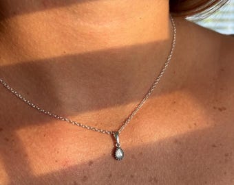 Pet Cremation Ashes Necklace: Memorial Keepsake