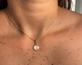 Pet Cremation Ashes Necklace: Memorial Keepsake