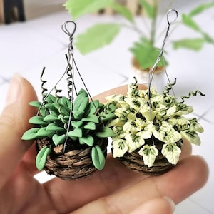 1:12 Scale Miniature Hanging Plant - Dark Green or Variegated Leaves - Dollhouse Garden Accessory