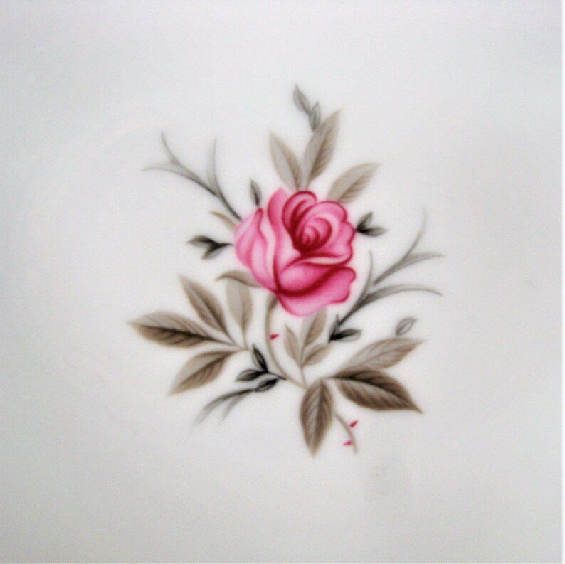 Puede incluir: Una sola rosa rosa con hojas grises sobre un fondo blanco.