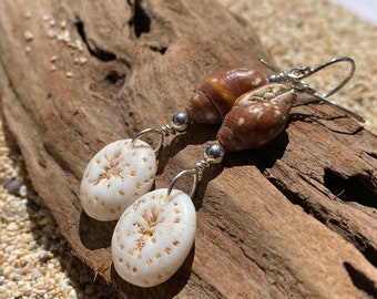 Sea Shell and coral earrings