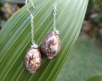 Hawaii cowrey shell dangles