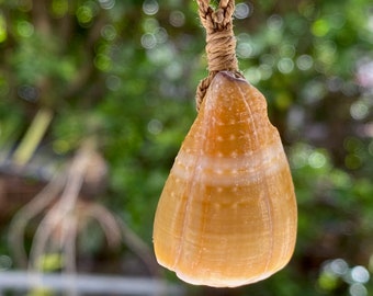 Surfer's Choice - Cone shell necklace