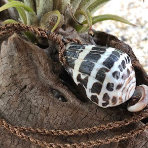 Surfer&#39;s Choice - Hebrew Cone Shell Necklace