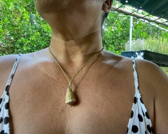 Surfer's Choice - Cone shell necklace