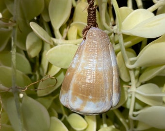 Surfer's Choice - Cone shell necklace