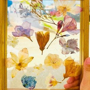 Pressed Flower Wooden Floating Frame Double Sided Botanical Art Wildflower Wall Hanging Natural Home Decor Dried Flower Frame Tabletop Decor