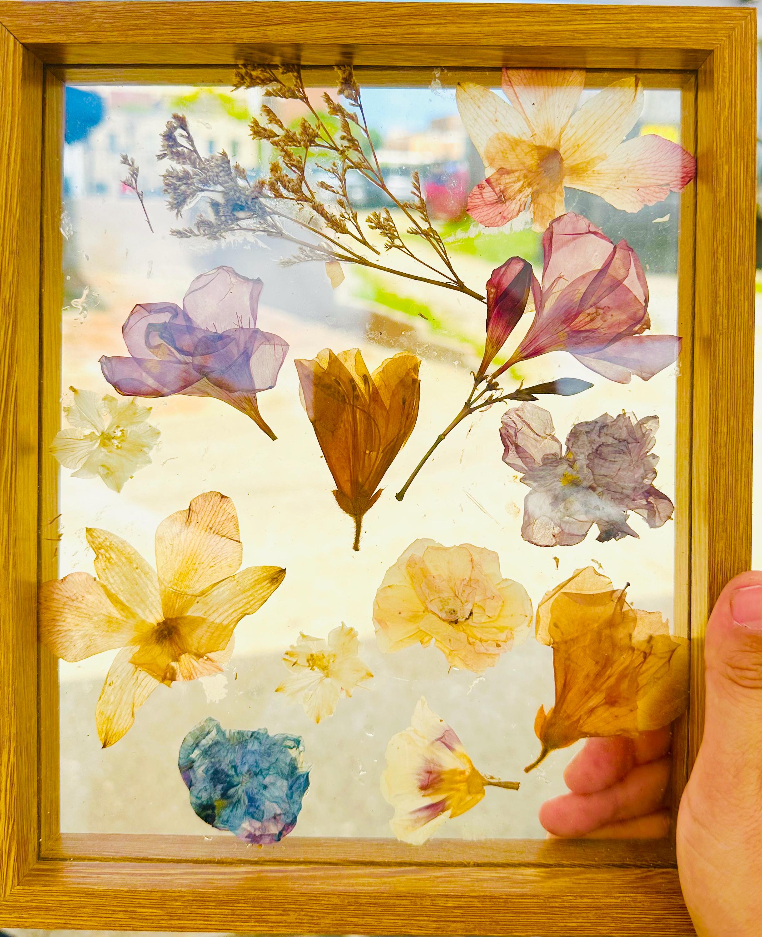Pressed Flower Wooden Floating Frame Double Sided Botanical Art ...